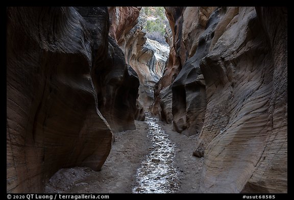 dark Willis Creek narrows. Grand Staircase Escalante National Monument, Utah, USA (color)
