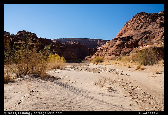 Sand dune. Paria Canyon Vermilion Cliffs Wilderness, Arizona, USA (color)