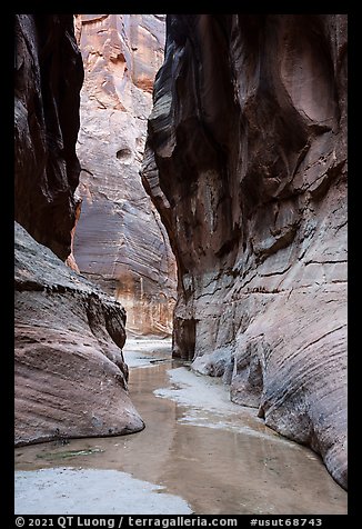 Buckskin Gulch near its confluence with Paria Canyon. Paria Canyon Vermilion Cliffs Wilderness, Arizona, USA (color)