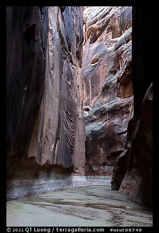 Buckskin Gulch slot canyon. Paria Canyon Vermilion Cliffs Wilderness, Arizona, USA