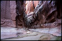 Dark and tall walls of Buckskin Gulch. Paria Canyon Vermilion Cliffs Wilderness, Arizona, USA ( color)