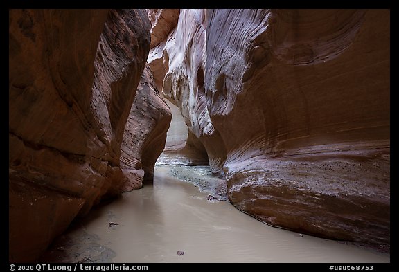 Muddy waters of the Paria River in Paria Canyon. Vermilion Cliffs National Monument, Arizona, USA (color)