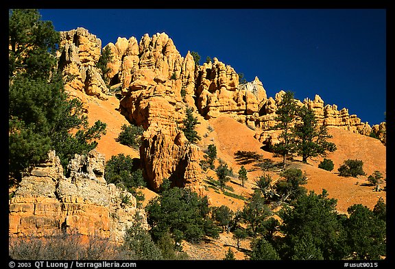 Hoodoos, Red Canyon, Dixie National Forest. Utah, USA (color)