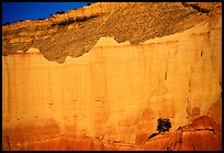Red cliffs of Entrada sandstone, sunset, Kodachrome Basin State Park. Utah, USA ( color)