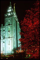 Great Mormon Temple with Christmas lights, Salt Lake City. Utah, USA ( color)