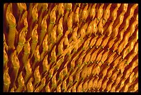 Detail of the thousands hands of a Buddha statue