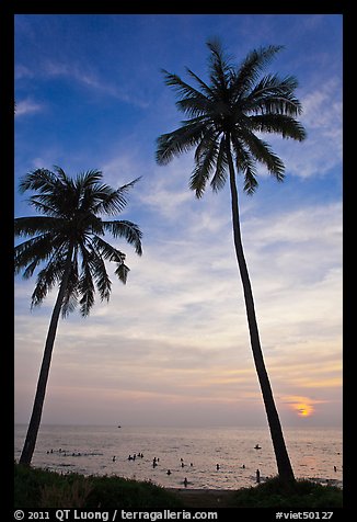 Palm trees and people in water at sunset. Phu Quoc Island, Vietnam