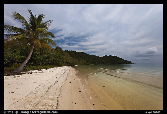 Palm-fringed tropical sandy beach, Bai Sau. Phu Quoc Island, Vietnam