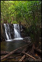 Suoi Tranh tropical waterfall. Phu Quoc Island, Vietnam (color)