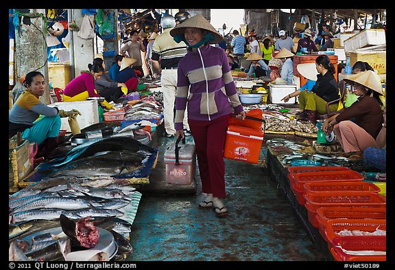Fish market, Duong Dong. Phu Quoc Island, Vietnam