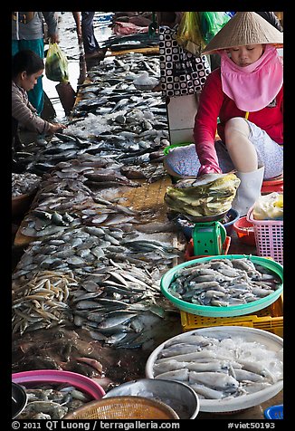 Fish for sale at public market, Duong Dong. Phu Quoc Island, Vietnam (color)