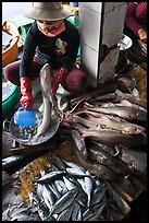 Woman cleans up fish for sale, Duong Dong. Phu Quoc Island, Vietnam ( color)