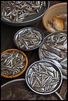 Close-up of fish in baskets, Duong Dong. Phu Quoc Island, Vietnam ( color)