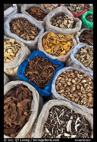 Close-up of dried foods in bags, Duong Dong. Phu Quoc Island, Vietnam
