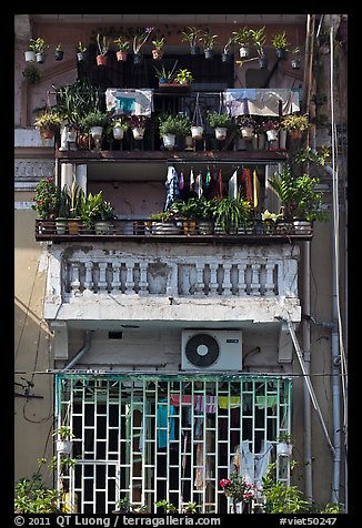 Windows with potted plants and laundry. Ho Chi Minh City, Vietnam (color)