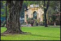 Tree, lawn, and gate, Van Hoa Park. Ho Chi Minh City, Vietnam ( color)
