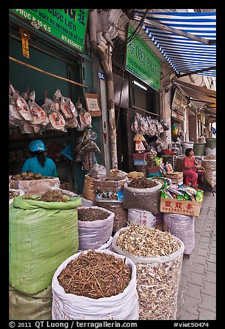 Shops selling traditional medicinal herbs. Cholon, Ho Chi Minh City, Vietnam (color)