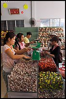Women packing coconut candy for sale. Ben Tre, Vietnam (color)