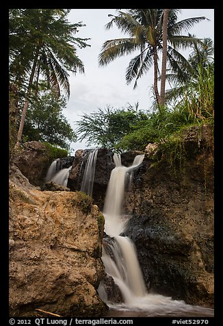 Waterfall flowing under palm trees, Fairy Stream. Mui Ne, Vietnam