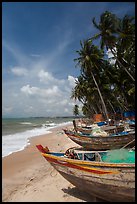 Palm-fringed beach with fishing boats. Mui Ne, Vietnam (color)