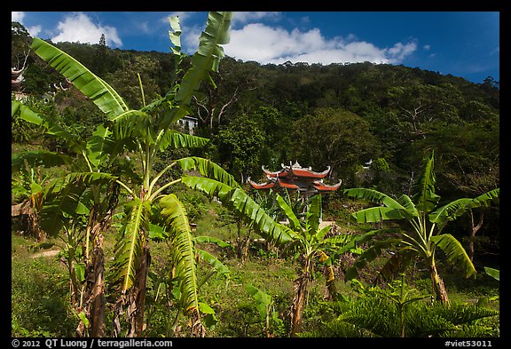 Banana trees, hill, and temple gate. Ta Cu Mountain, Vietnam