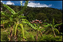 Banana trees, hill, and temple gate. Ta Cu Mountain, Vietnam (color)