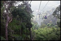 Cable car and tropical forest. Ta Cu Mountain, Vietnam (color)