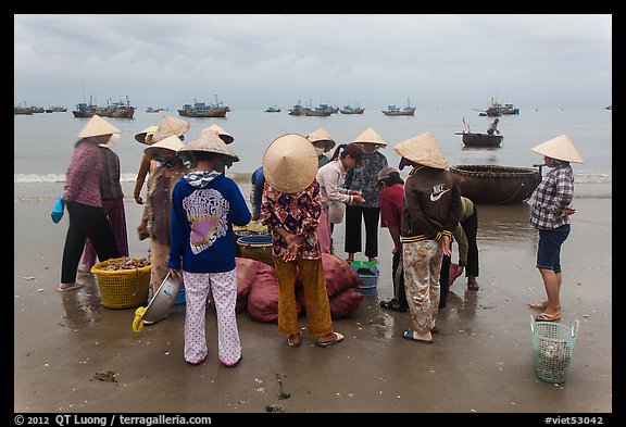Women gathered on beach around fresh catch. Mui Ne, Vietnam (color)