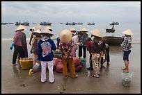 Women gathered on beach around fresh catch. Mui Ne, Vietnam (color)