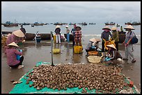 Freshly harvested shells on beach with backdrop of fishing boats. Mui Ne, Vietnam (color)