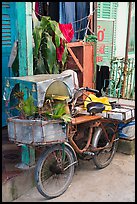 Altar on bicycle. Can Tho, Vietnam ( color)