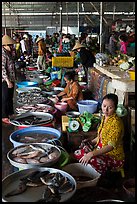Fishmongers, Cai Rang. Can Tho, Vietnam (color)