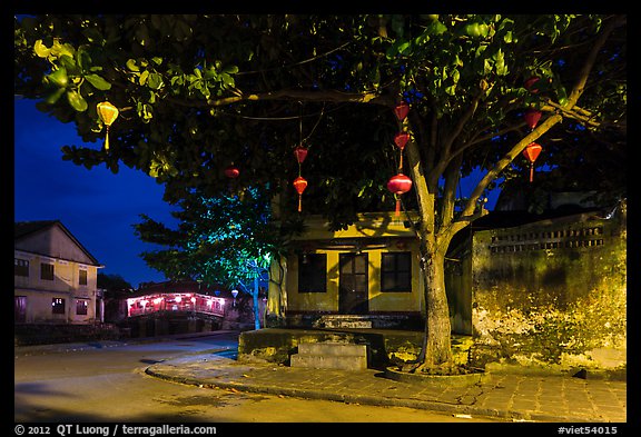 Tree with paper lanterns in Japanese Bridge area at night. Hoi An, Vietnam