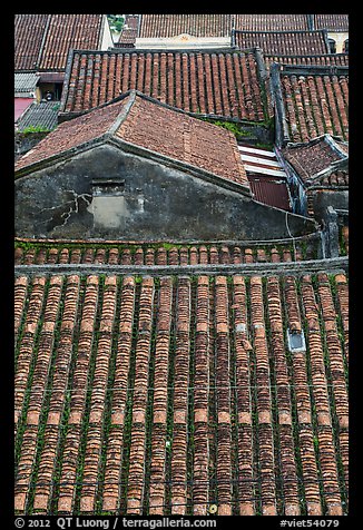 Rooftop detail. Hoi An, Vietnam (color)