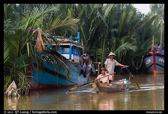 Fishermen row sampan in lush river channel. Hoi An, Vietnam