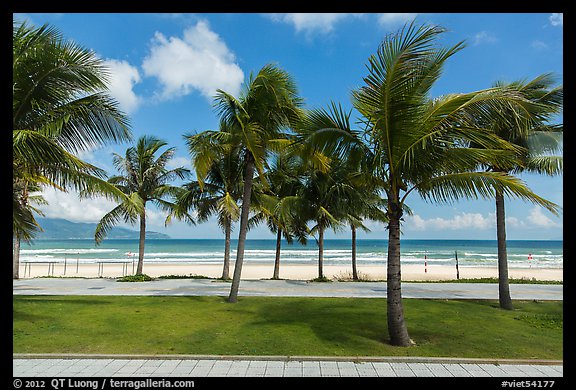 Palm-lined beachfront promenade. Da Nang, Vietnam (color)