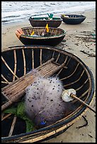 Coracle boats with fishing gear. Da Nang, Vietnam (color)