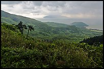 View from Hai Van pass in rainy weather, Bach Ma National Park. Vietnam ( color)
