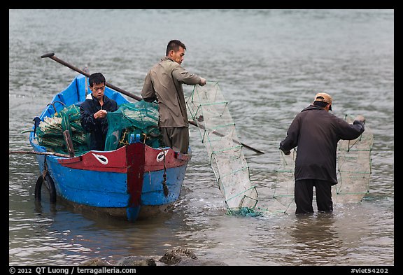 Men operating fish traps. Vietnam (color)