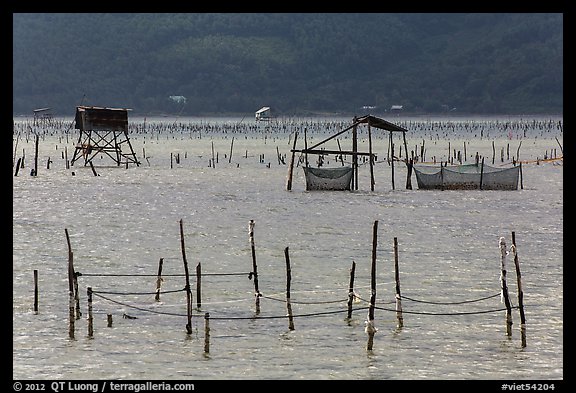 Pilings and fishing nets in lagoon. Vietnam