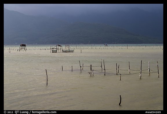 Fish traps in lagoon. Vietnam (color)