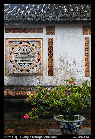 Potted plant and wall with Chinese symbol window, citadel. Hue, Vietnam (color)