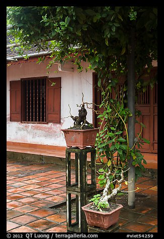 Bonsai trees and monastic buildings, Thien Mu pagoda. Hue, Vietnam