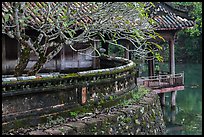 Luu Khiem Lake edge with stone fence and pavilion, Tu Duc Tomb. Hue, Vietnam (color)