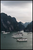 Elevated view of white tour boats and islets. Halong Bay, Vietnam (color)