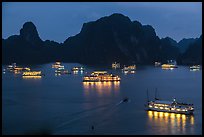 Flotilla of tour boats and islands at night. Halong Bay, Vietnam (color)