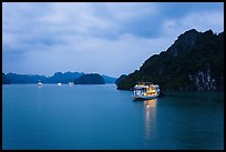 Tour boats at dawn. Halong Bay, Vietnam (color)
