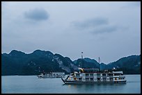 Two tour boats at dawn. Halong Bay, Vietnam (color)