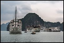 White tour boats. Halong Bay, Vietnam (color)