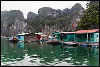 Vung Vieng village below karstic islands,. Halong Bay, Vietnam (color)